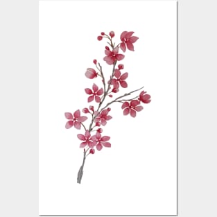 cherry blossom Posters and Art